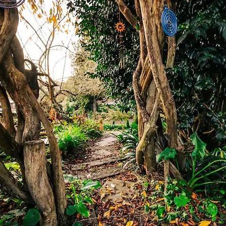 Starry Nights Cabin Fever Waikino Bagian luar foto