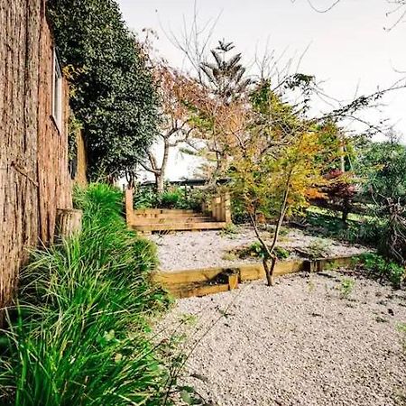 Starry Nights Cabin Fever Waikino Bagian luar foto