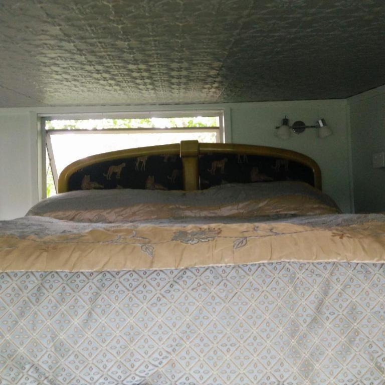 Starry Nights Cabin Fever Waikino Ruang foto