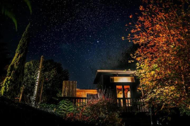 Starry Nights Cabin Fever Waikino Bagian luar foto