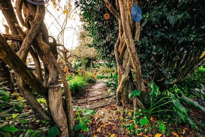 Starry Nights Cabin Fever Waikino Bagian luar foto