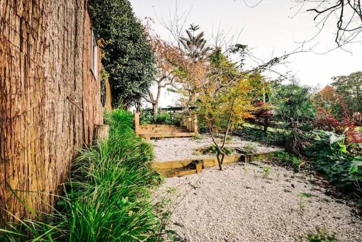 Starry Nights Cabin Fever Waikino Bagian luar foto