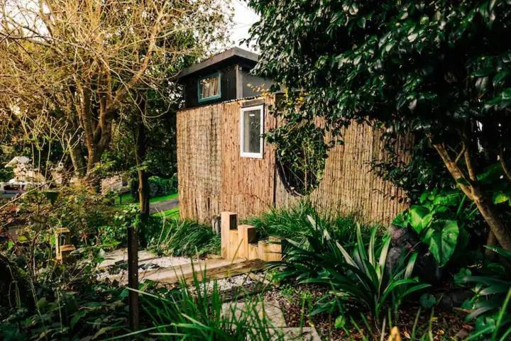 Starry Nights Cabin Fever Waikino Bagian luar foto