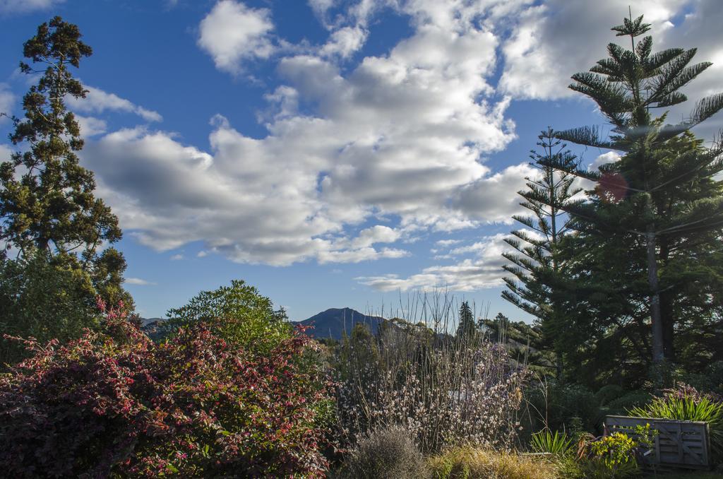 Starry Nights Cabin Fever Waikino Bagian luar foto