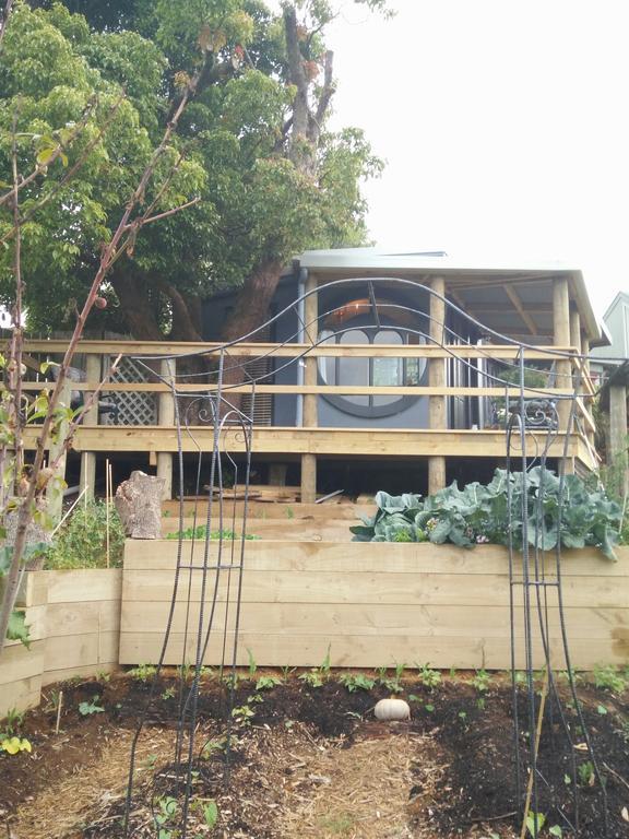 Starry Nights Cabin Fever Waikino Bagian luar foto
